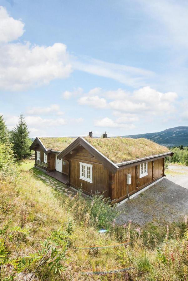 Reveenka - Cabin In Trysil With Jacuzzi For Rent Exterior foto